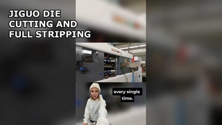 JIGUO(풀 스트리핑) 자동 다이 커팅 및 스트리핑 기계