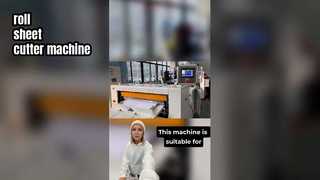 ZWC-1100D 자동 롤 시트 절단기 기계 포장용 고정밀 종이 절단 장비